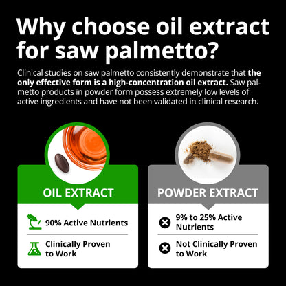 SAW PALMETTO