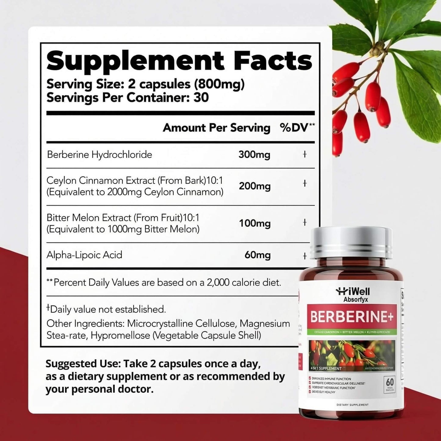 HiWell Absorfyx Berberine with Ceylon Cinnamon